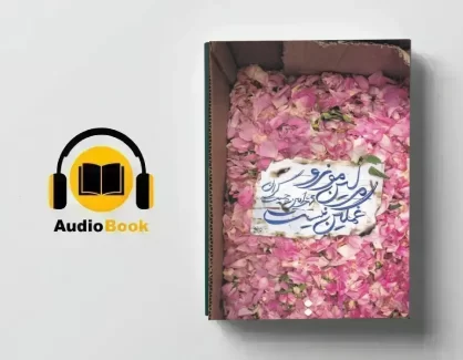 دانلود کتاب صوتی مرلین مونرو غمگین نیست از محمدامین چیت گران